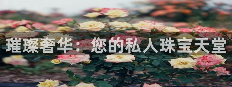 新宝b2O5O5O：璀璨奢华：您的私人珠宝天堂