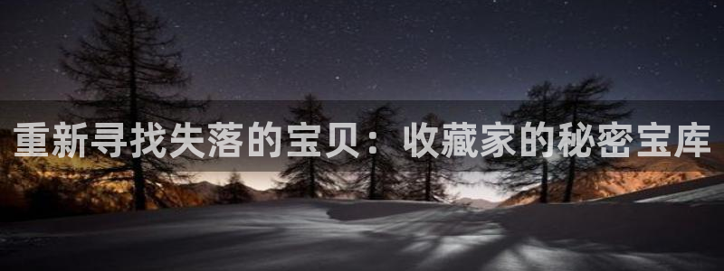 新宝5寻33 300球：重新寻找失落的宝贝：收藏家的秘密宝库