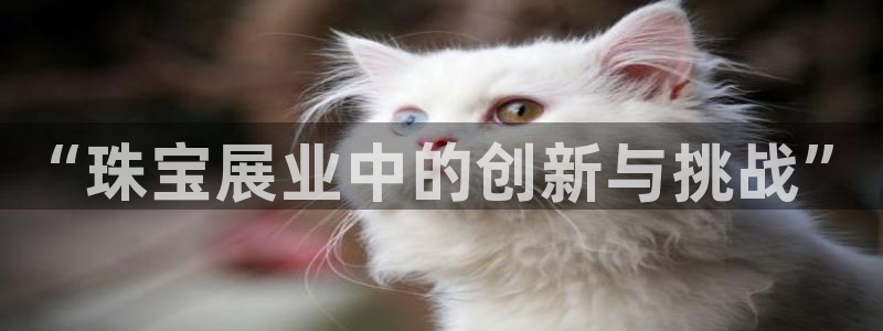 新宝5寻33 300球：“珠宝展业中的创新与挑战”