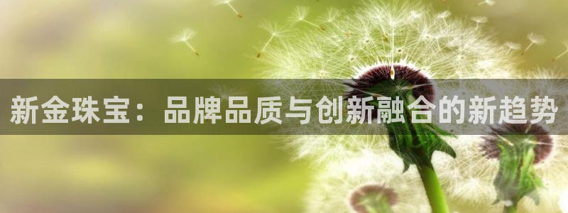 新宝5平台登录下载软件：新金珠宝：品牌品质与创新融合的新趋势