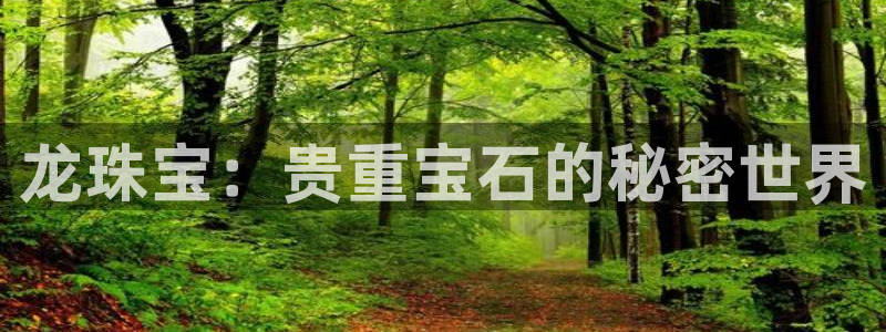 新宝5 测速：龙珠宝：贵重宝石的秘密世界
