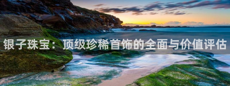 新宝5王问74OOO5：银子珠宝：顶级珍稀首饰的全面与价值评估
