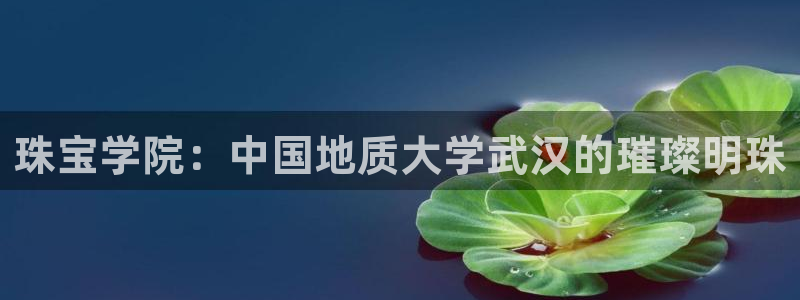 新宝5平台霸：珠宝学院：中国地质大学武汉的璀璨明珠