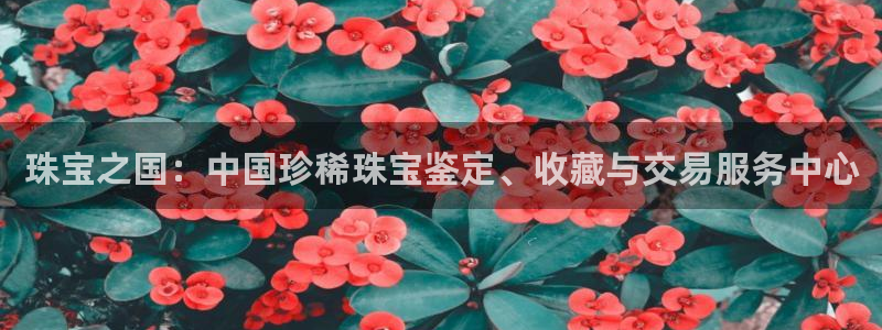 新宝5娱乐网址：珠宝之国：中国珍稀珠宝鉴定、收藏与交易服务中心