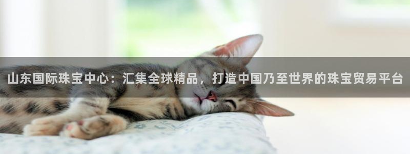 新宝5登陆：山东国际珠宝中心：汇集全球精品，打造中国乃至世界的珠宝贸易平台