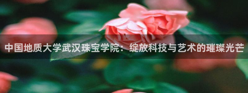 2022新宝骏rs 5：中国地质大学武汉珠宝学院：绽放科技与艺术的璀璨光芒