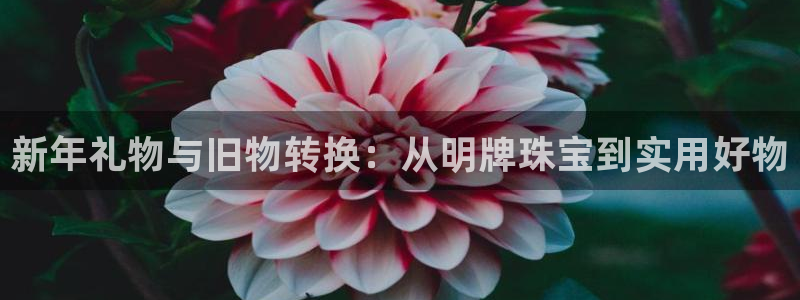 新宝5开好：新年礼物与旧物转换：从明牌珠宝到实用好物