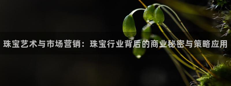 新宝5褚32OO59：珠宝艺术与市场营销：珠宝行业背后的商业秘密与策略应用