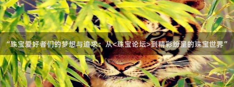新宝那2O5O5O：“珠宝爱好者们的梦想与追求：从<珠宝论坛>到精彩纷呈的珠宝世