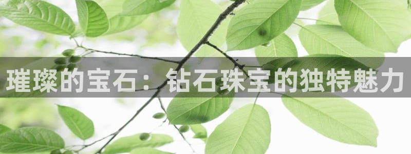 新宝5月：璀璨的宝石：钻石珠宝的独特魅力