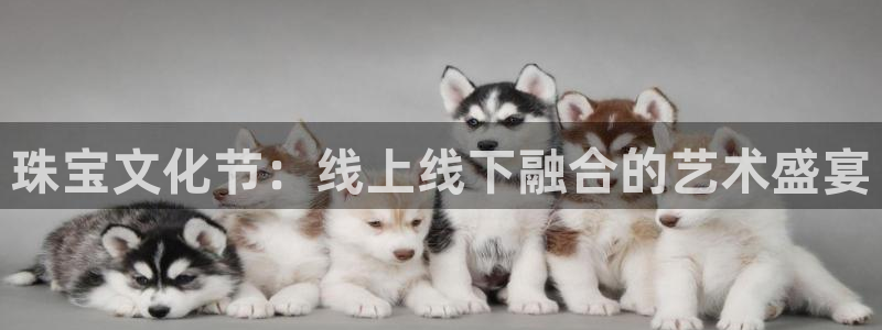 新宝5是什么样子的：珠宝文化节：线上线下融合的艺术盛宴