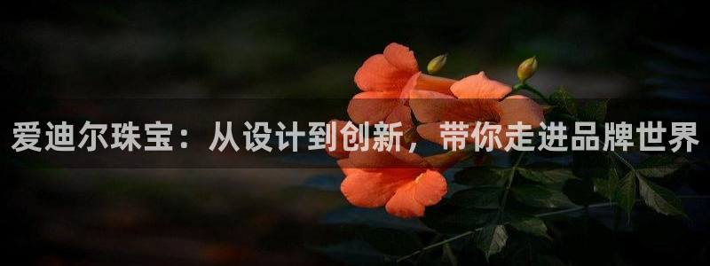 新宝5分彩：爱迪尔珠宝：从设计到创新，带你走进品牌世界