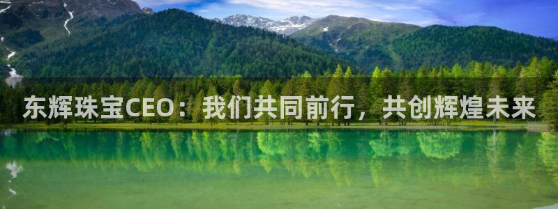 新宝5怎么代理：东辉珠宝CEO：我们共同前行，共创辉煌未来