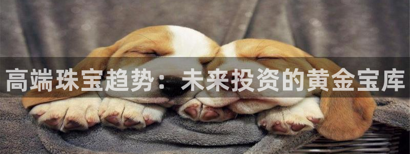 新宝5现在还能玩吗：高端珠宝趋势：未来投资的黄金宝库