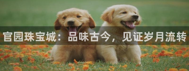 新宝那2O5O5O：官园珠宝城：品味古今，见证岁月流转