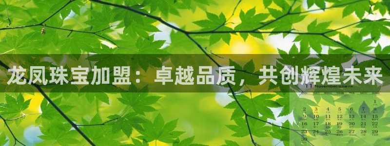新宝5-：龙凤珠宝加盟：卓越品质，共创辉煌未来