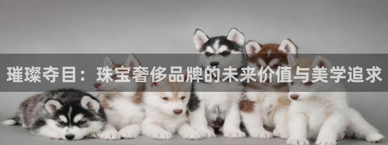 新宝5娱乐如：璀璨夺目：珠宝奢侈品牌的未来价值与美学追求