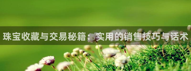 新宝5官网app：珠宝收藏与交易秘籍：实用的销售技巧与话术