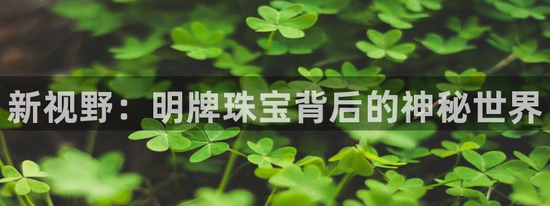 新宝5娱乐平台：新视野：明牌珠宝背后的神秘世界
