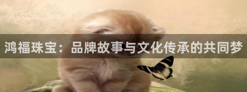 新宝5平台注册公司：鸿福珠宝：品牌故事与文化传承的共同梦