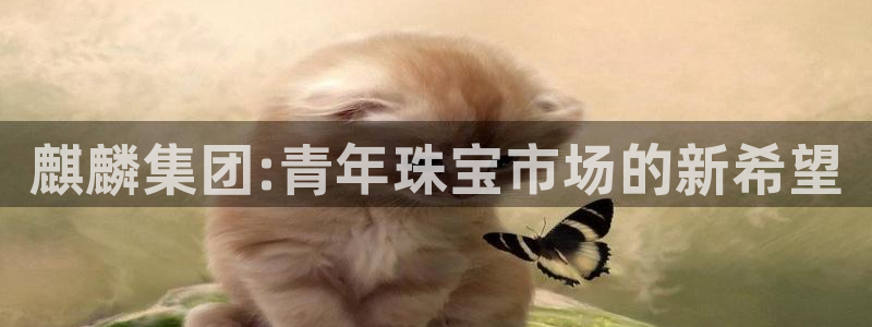 新宝5平台登陆：麒麟集团:青年珠宝市场的新希望