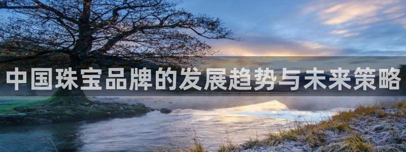 新宝5导师：中国珠宝品牌的发展趋势与未来策略