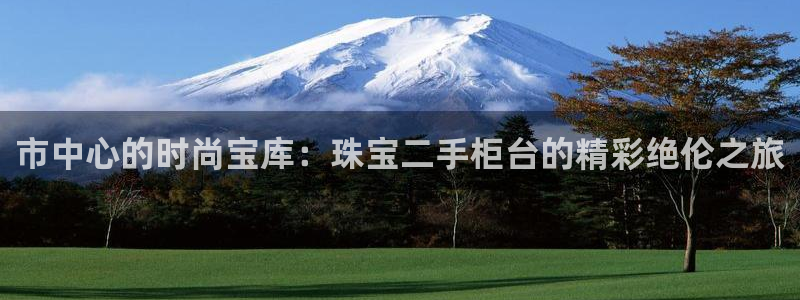 新宝5是什么：市中心的时尚宝库：珠宝二手柜台的精彩绝伦之旅