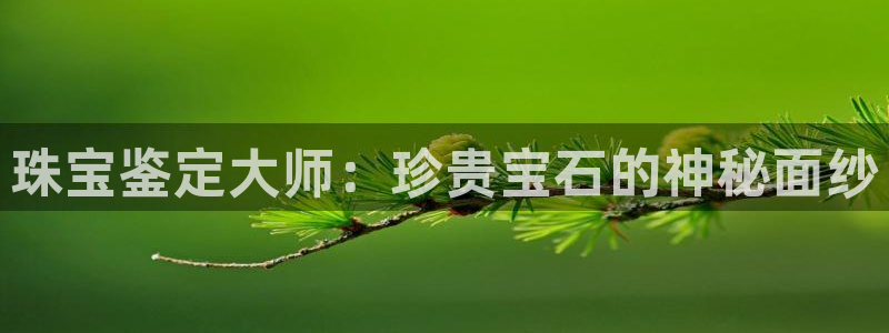 新宝5注册流程：珠宝鉴定大师：珍贵宝石的神秘面纱