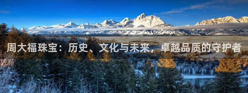 新宝5为啥开：周大福珠宝：历史、文化与未来，卓越品质的守护者