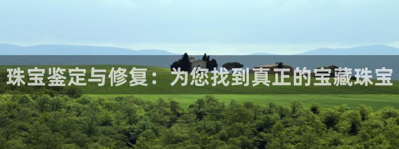 新宝测速5：珠宝鉴定与修复：为您找到真正的宝藏珠宝