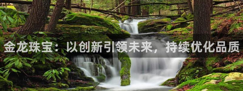 新宝5秒开：金龙珠宝：以创新引领未来，持续优化品质
