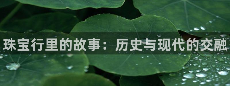 新宝m2O5O5O：珠宝行里的故事：历史与现代的交融