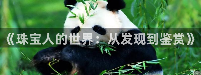 新宝5吴74OOO5：《珠宝人的世界：从发现到鉴赏》