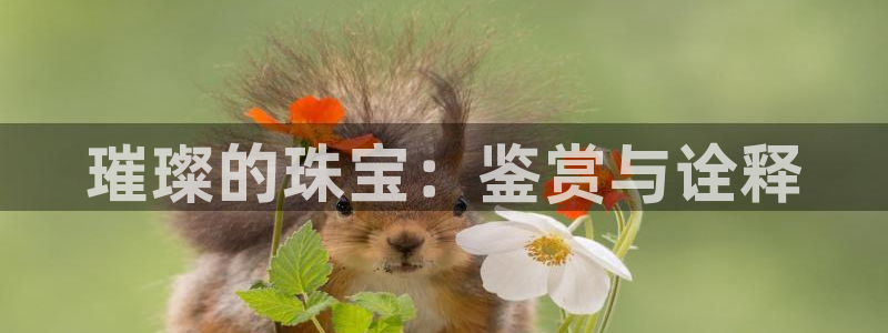 新宝5娱乐：璀璨的珠宝：鉴赏与诠释