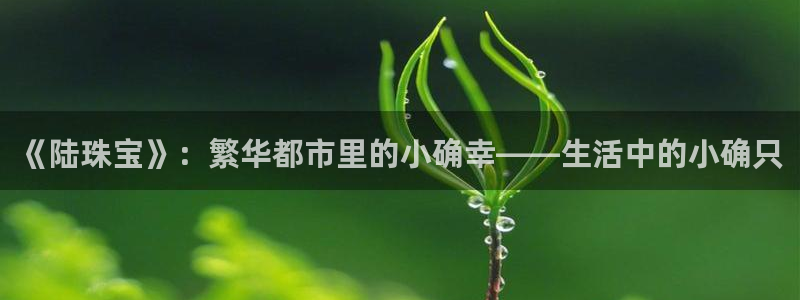 新宝5网：《陆珠宝》：繁华都市里的小确幸——生活中的小确只