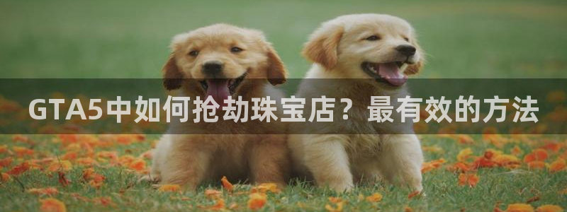 新宝5日：GTA5中如何抢劫珠宝店？最有效的方法