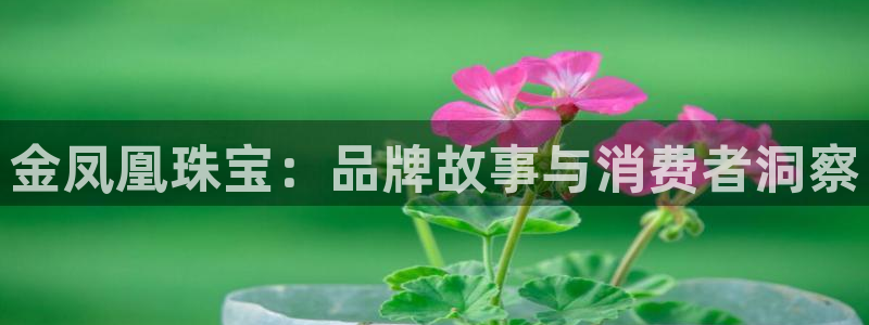 新宝5找找74OOO5：金凤凰珠宝：品牌故事与消费者洞察