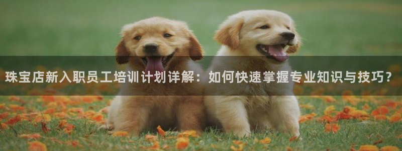 新宝5卫74OOO5：珠宝店新入职员工培训计划详解：如何快速掌握专业知识与技巧？