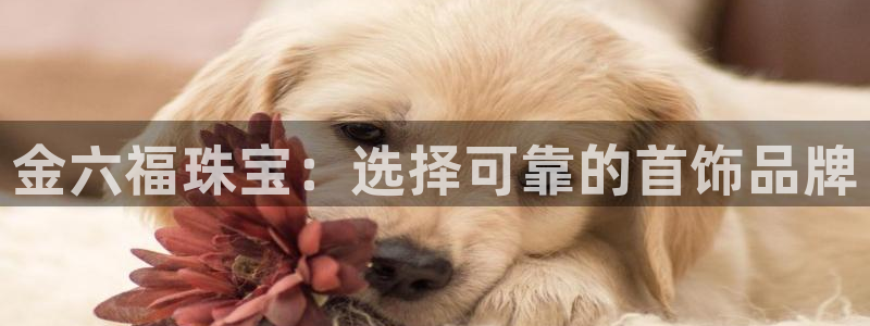 新宝5地址：金六福珠宝：选择可靠的首饰品牌