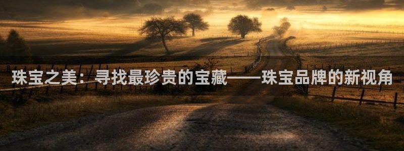 新宝5：珠宝之美：寻找最珍贵的宝藏——珠宝品牌的新视角