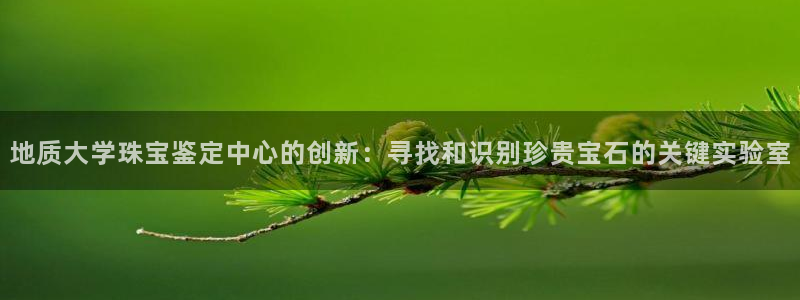 新宝速5：地质大学珠宝鉴定中心的创新：寻找和识别珍贵宝石的关键实验室