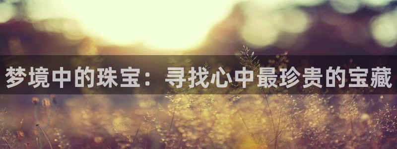 新宝rc_5w：梦境中的珠宝：寻找心中最珍贵的宝藏