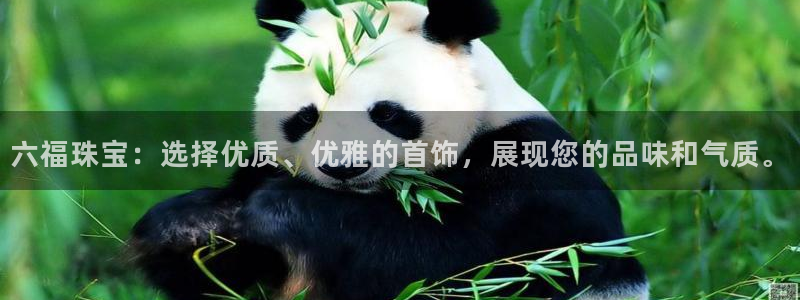 新宝5彩票平台登陆：六福珠宝：选择优质、优雅的首饰，展现您的品味和气质。