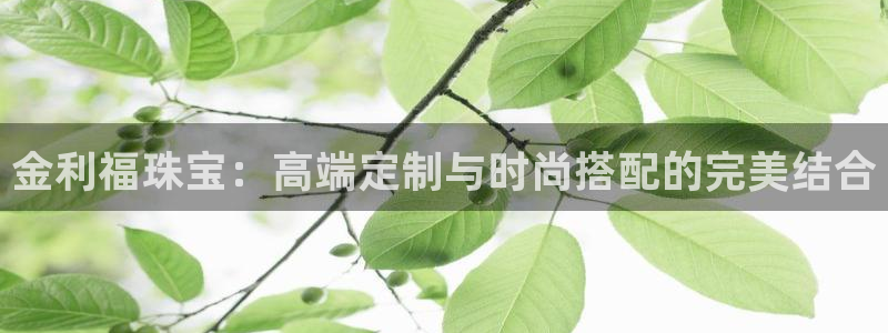 新宝5X：金利福珠宝：高端定制与时尚搭配的完美结合