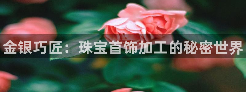 新宝娱乐5入口：金银巧匠：珠宝首饰加工的秘密世界