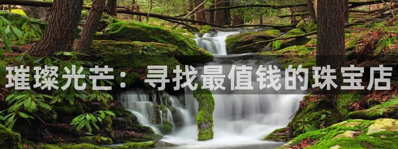 新宝5官网：璀璨光芒：寻找最值钱的珠宝店