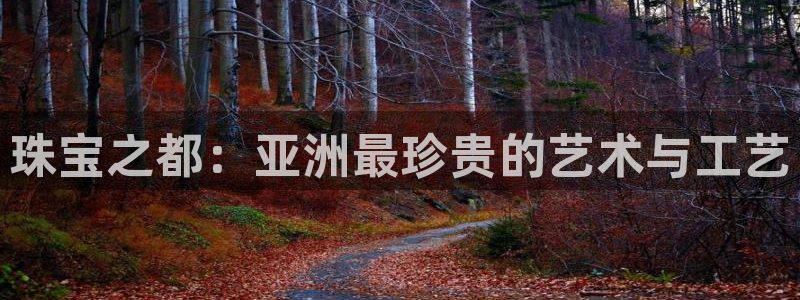 新宝5娱乐学：珠宝之都：亚洲最珍贵的艺术与工艺