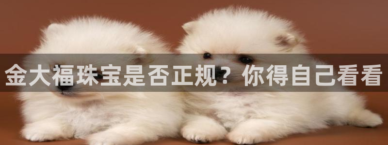 新宝5网：金大福珠宝是否正规？你得自己看看