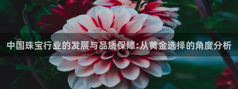 新宝5系列：中国珠宝行业的发展与品质保障:从黄金选择的角度分析