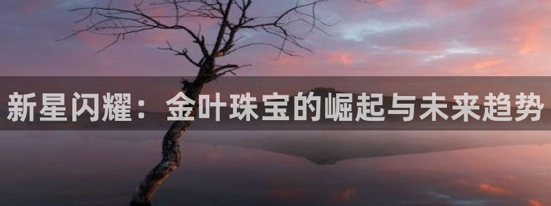 新宝5电脑登录网址：新星闪耀：金叶珠宝的崛起与未来趋势